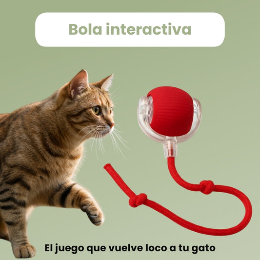 CrazyBall™ - Bola Interactiva